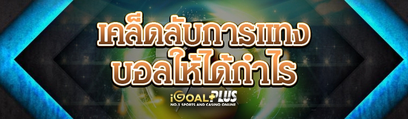 เคล็ดลับการแทงบอลให้ได้กำไร