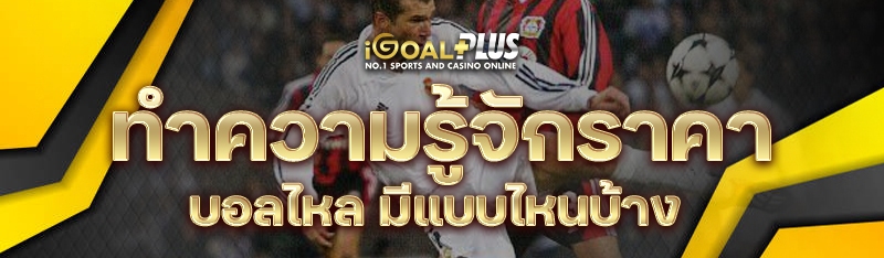 ทำความรู้จักราคาบอลไหล มีแบบไหนบ้าง