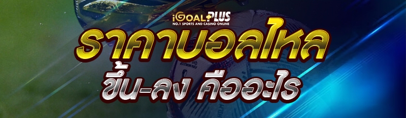 ราคาบอลไหลขึ้น-ลง คืออะไร