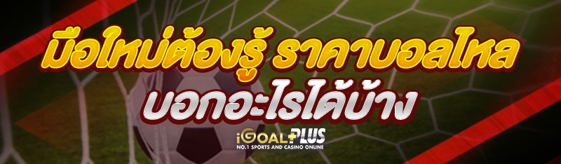 มือใหม่ต้องรู้ ราคาบอลไหล บอกอะไรได้บ้าง